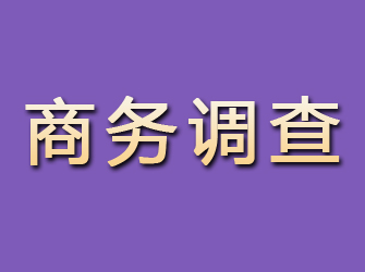 临汾商务调查